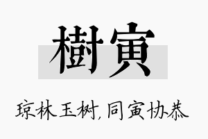 树寅名字的寓意及含义