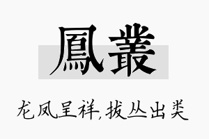 凤丛名字的寓意及含义