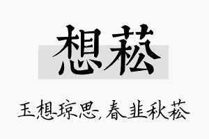 想菘名字的寓意及含义