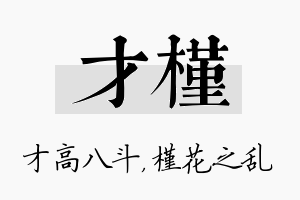 才槿名字的寓意及含义