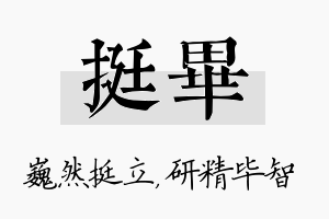 挺毕名字的寓意及含义