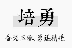 培勇名字的寓意及含义