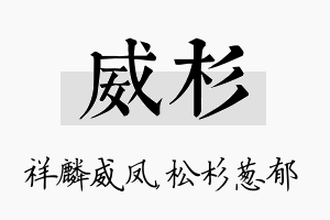 威杉名字的寓意及含义