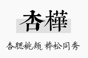 杏桦名字的寓意及含义