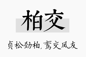 柏交名字的寓意及含义