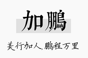 加鹏名字的寓意及含义