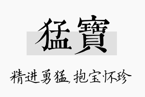 猛宝名字的寓意及含义