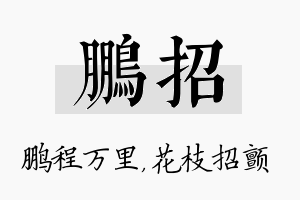 鹏招名字的寓意及含义