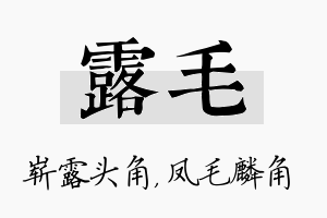 露毛名字的寓意及含义