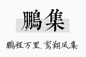 鹏集名字的寓意及含义