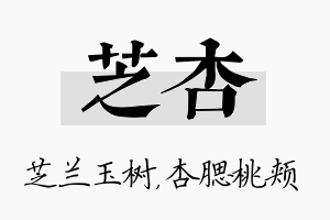 芝杏名字的寓意及含义