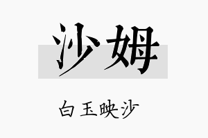 沙姆名字的寓意及含义