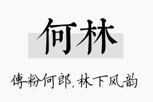 何林名字的寓意及含义