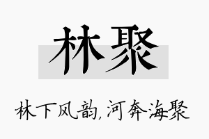 林聚名字的寓意及含义