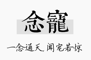 念宠名字的寓意及含义