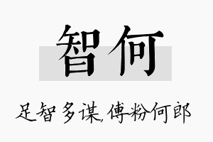 智何名字的寓意及含义