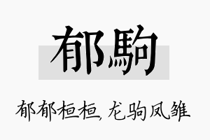 郁驹名字的寓意及含义