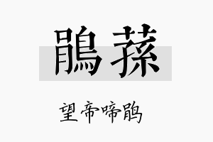 鹃荪名字的寓意及含义