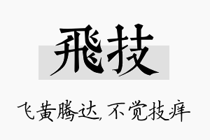 飞技名字的寓意及含义