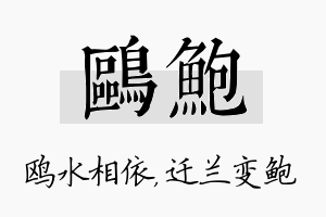 鸥鲍名字的寓意及含义