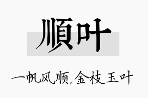 顺叶名字的寓意及含义