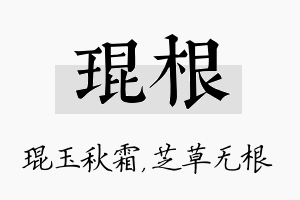 琨根名字的寓意及含义