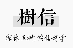 树信名字的寓意及含义