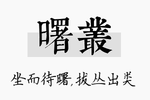 曙丛名字的寓意及含义