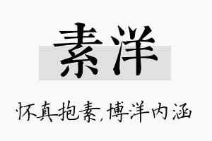 素洋名字的寓意及含义