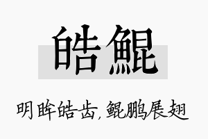 皓鲲名字的寓意及含义