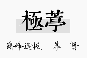 极葶名字的寓意及含义