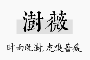 澍薇名字的寓意及含义