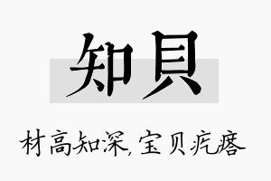 知贝名字的寓意及含义