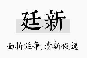 廷新名字的寓意及含义