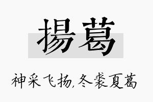 扬葛名字的寓意及含义