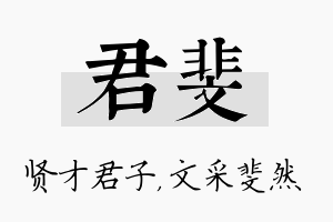 君斐名字的寓意及含义