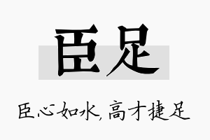 臣足名字的寓意及含义