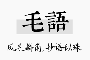 毛语名字的寓意及含义