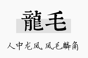 龙毛名字的寓意及含义