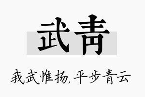 武青名字的寓意及含义