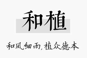 和植名字的寓意及含义