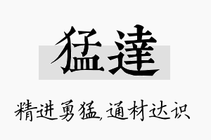 猛达名字的寓意及含义