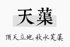 天蕖名字的寓意及含义