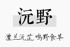 沅野名字的寓意及含义