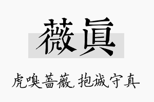 薇真名字的寓意及含义