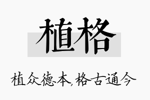 植格名字的寓意及含义