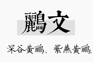 鹂文名字的寓意及含义