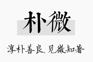 朴微名字的寓意及含义