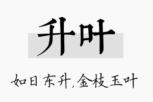 升叶名字的寓意及含义