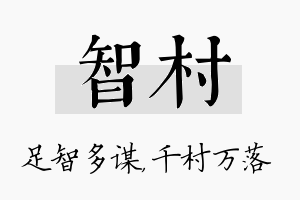 智村名字的寓意及含义